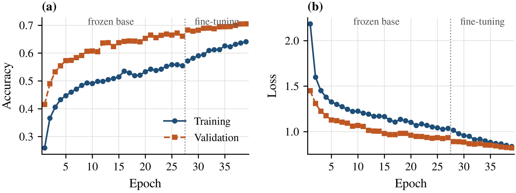 Model training learning curves